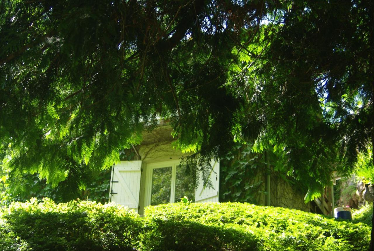 Classic Driver Home 2 Royat Dış mekan fotoğraf